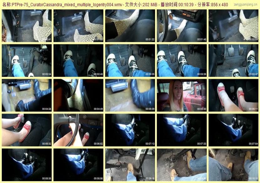 ptpre-75_CuratorCassandra_mixed_multiple_logentry004